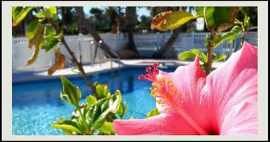 Magic Beach Motel - Vilano Beach Saint Augustine