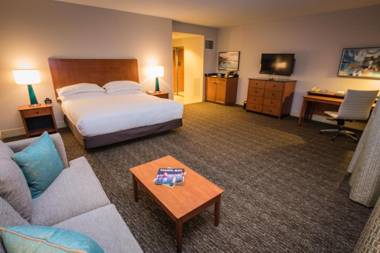 Hilton St. Petersburg Carillon Park