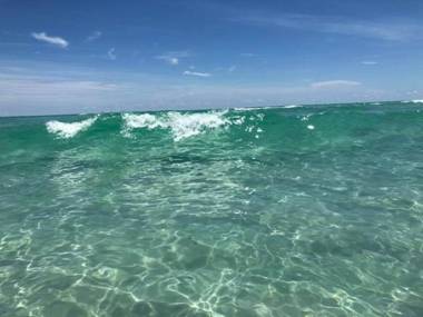 St Pete Vacation Rentals