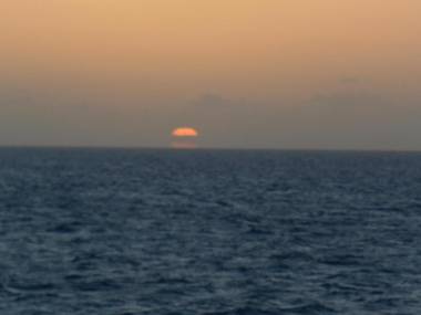 Tropical Fruit Garden