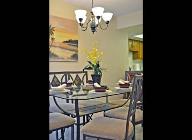 Midnight Cove 6327 #725