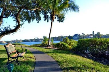 Midnight Cove 6327 #725