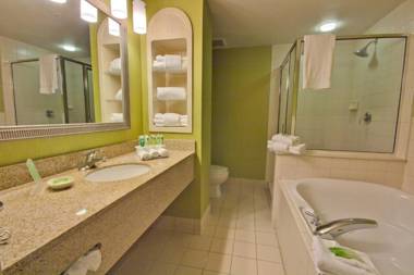 Holiday Inn Express and Suites Tampa I-75 at Bruce B. Downs an IHG Hotel