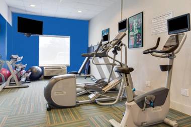 Holiday Inn Express Hotel & Suites Tampa-Fairgrounds-Casino an IHG Hotel