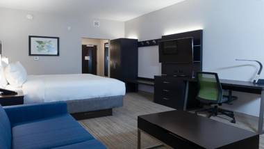 Holiday Inn Express & Suites - Tampa East - Ybor City an IHG Hotel