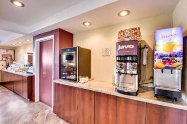 Econo Lodge Busch Gardens Tampa