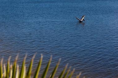 Chase Suite Hotel Tampa