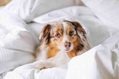 Element Tampa Midtown