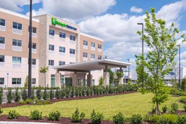 Holiday Inn Express & Suites - Tampa North - Wesley Chapel an IHG Hotel