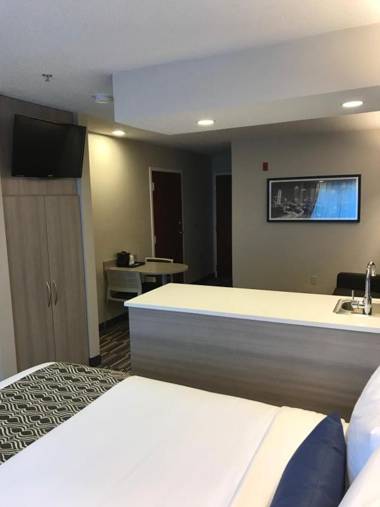 Microtel Inn & Suites by Wyndham Atlanta Buckhead Area