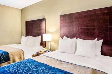 Comfort Inn Atlanta Downtown