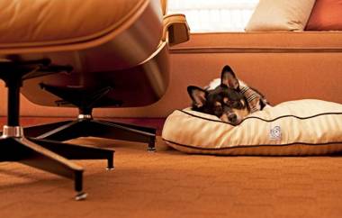 Hyatt Place Atlanta Buckhead