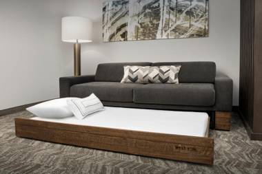 SpringHill Suites by Marriott Atlanta Perimeter Center