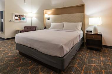 Holiday Inn & Suites - Atlanta N - Chamblee Dunwoody  an IHG Hotel