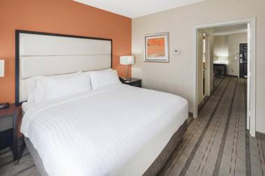 Holiday Inn Express & Suites Atlanta NE- Duluth an IHG Hotel