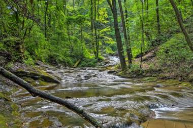 Comfy Jasper Main Unit Walk to On-Site Waterfall!