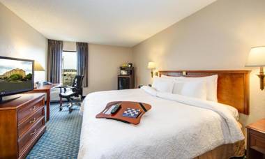 Hampton Inn Hotel Atlanta-Southlake