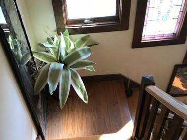 Gardenview Bed and Breakfast 