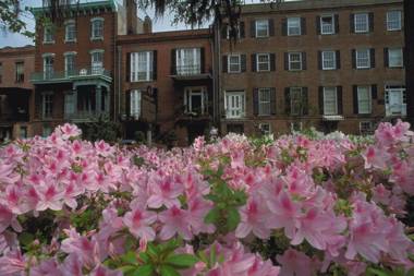 Best Western Premier I-95 Savannah Airport/ Pooler West