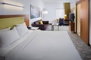 Springhill Suites by Marriott Savannah Downtown Historic District