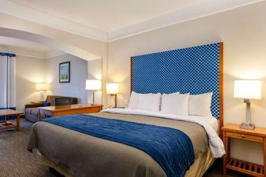 Comfort Inn & Suites Savannah Airport