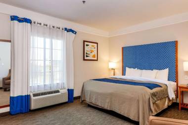 Comfort Inn & Suites Savannah Airport