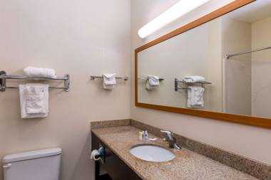 Comfort Inn & Suites Savannah Airport
