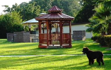 Savannah Inn and Suites