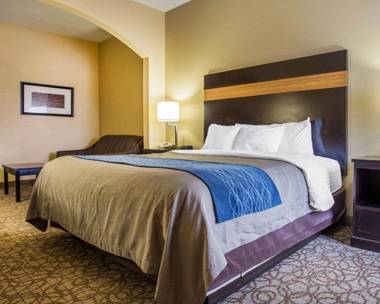 Comfort Inn & Suites at Stone Mountain