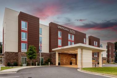 SpringHill Suites by Marriott Suwanee Johns Creek