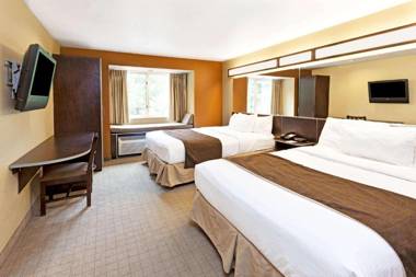 Microtel Inn & Suites by Wyndham Woodstock/Atlanta North