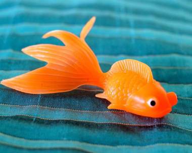 Aston Waikiki Circle Hotel