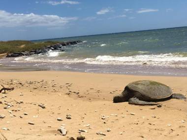 Aloha KAI - Resort Condo