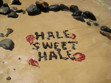 Hale Sweet Hale as seen on HGTV