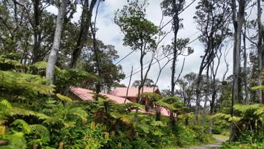 Volcano Forest Inn