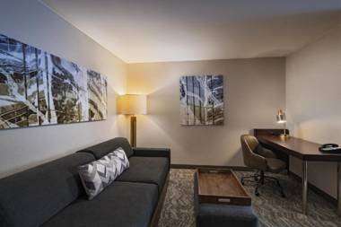 SpringHill Suites Boise West/Eagle