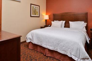 Hampton Inn Idaho Falls / Airport