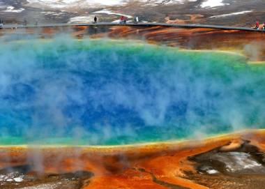 Buck Buck Moose by KABINO