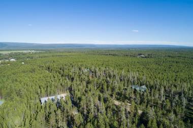 Buck Buck Moose by KABINO