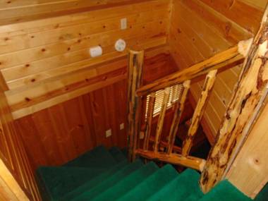 Restoration Pines by KABINO