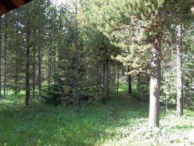 Spruce Fly by KABINO