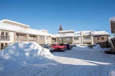 Alpine Villa 24 - Remodeled and Refurbished Walk to Bike Path Bald Mt and Downtown