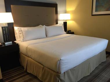 Holiday Inn Express Chicago NW - Arlington Heights an IHG Hotel