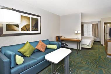 SpringHill Suites by Marriott Chicago SW Burr Ridge/Hinsdale