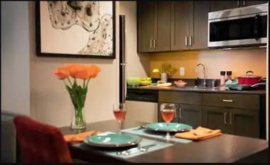 Homewood Suites By Hilton Chicago Downtown South Loop