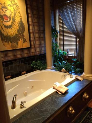 Renaissance Riverboat Suites and Rooms