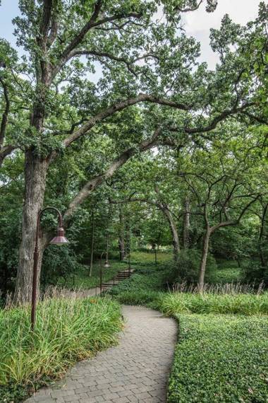 Hyatt Lodge Oak Brook Chicago