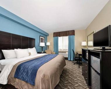 Comfort Inn & Suites Springfield I-55