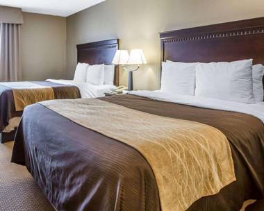 Comfort Inn & Suites near Tinley Park Amphitheater