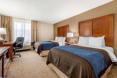 Comfort Inn Anderson South